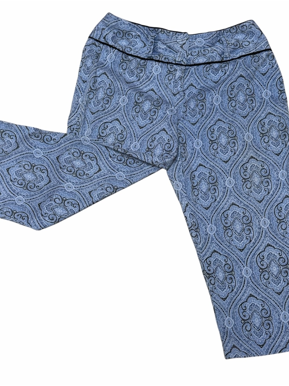 Patterned Blue Paisley Capri Pants